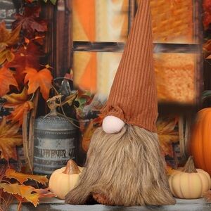 Cutest Fall Gnome for house